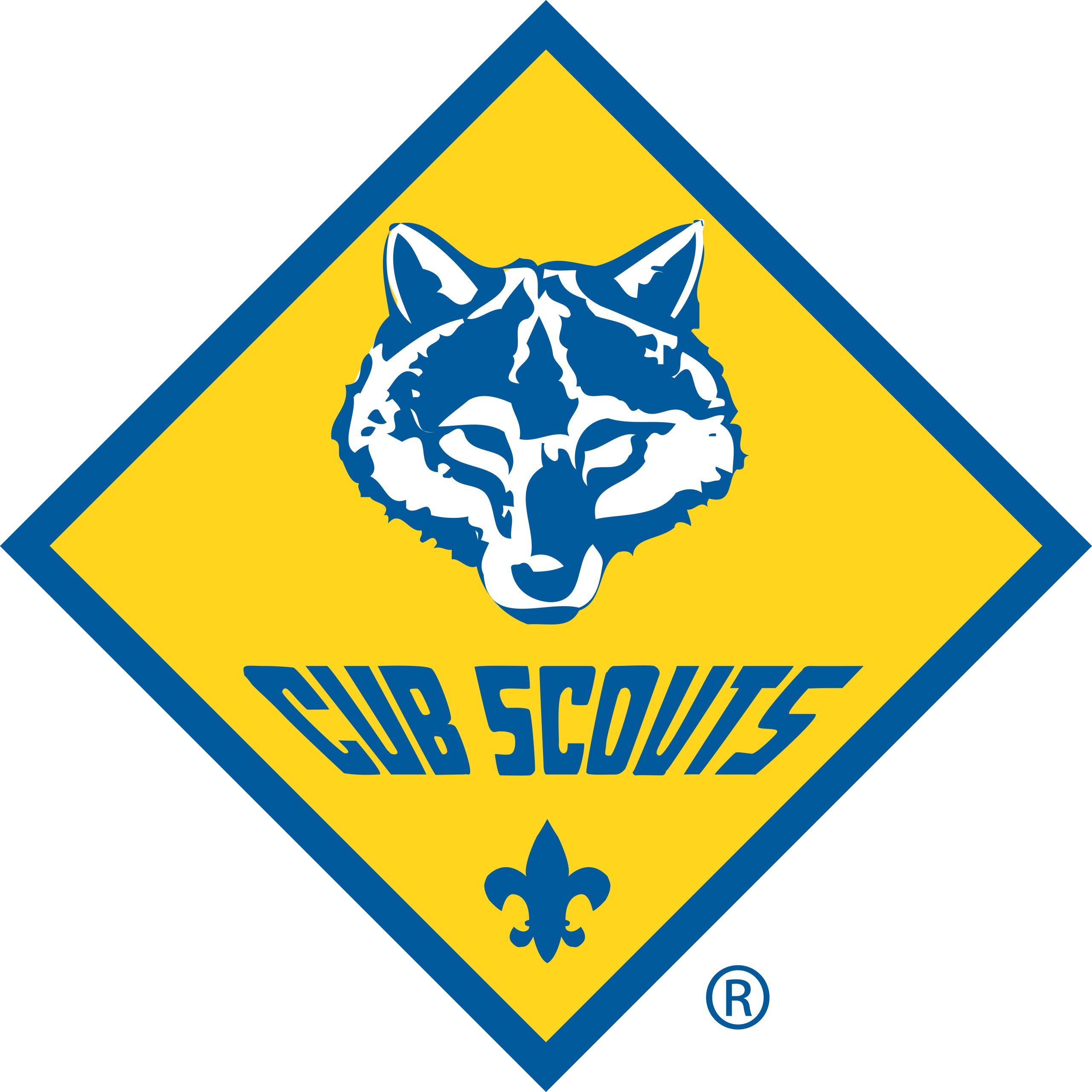 Cub Scout Pack 284